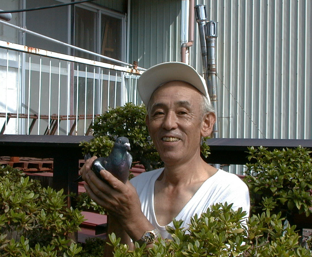 kimura750
